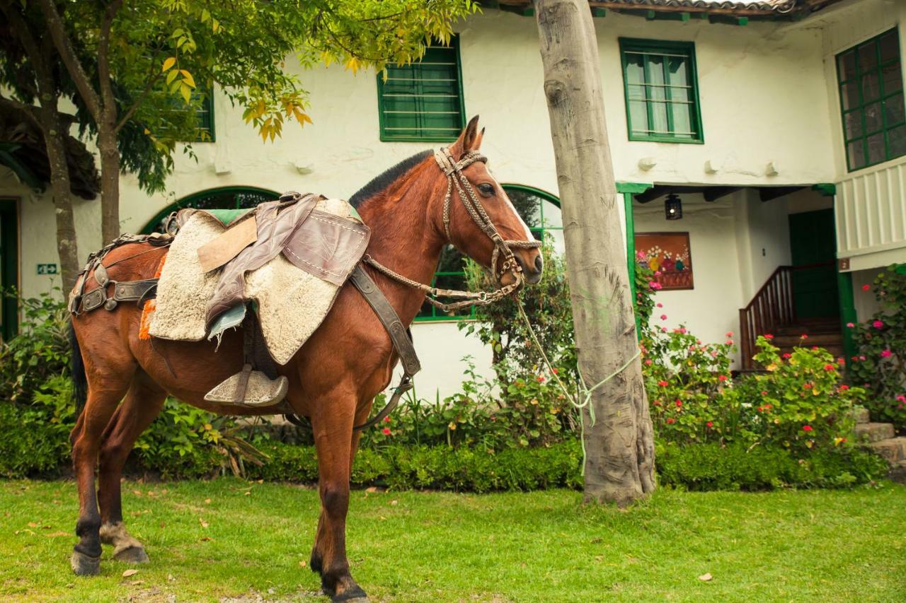 Posada Ingapirca Ngoại thất bức ảnh