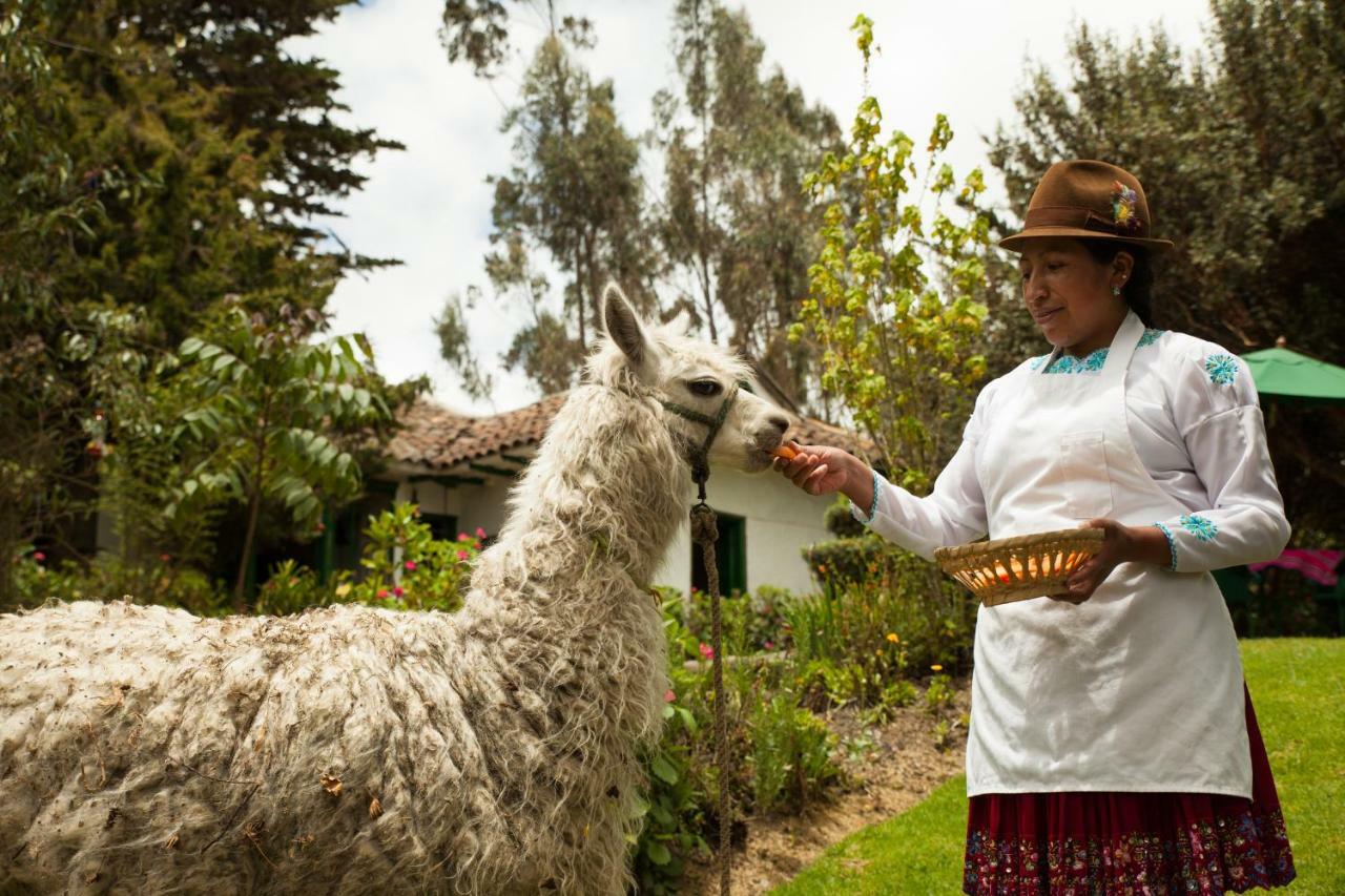 Posada Ingapirca Ngoại thất bức ảnh
